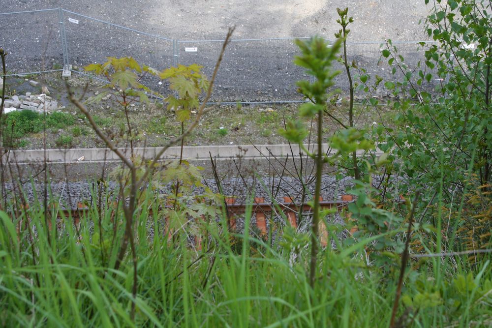 Das einzige Bahngleis von Lüdenscheid