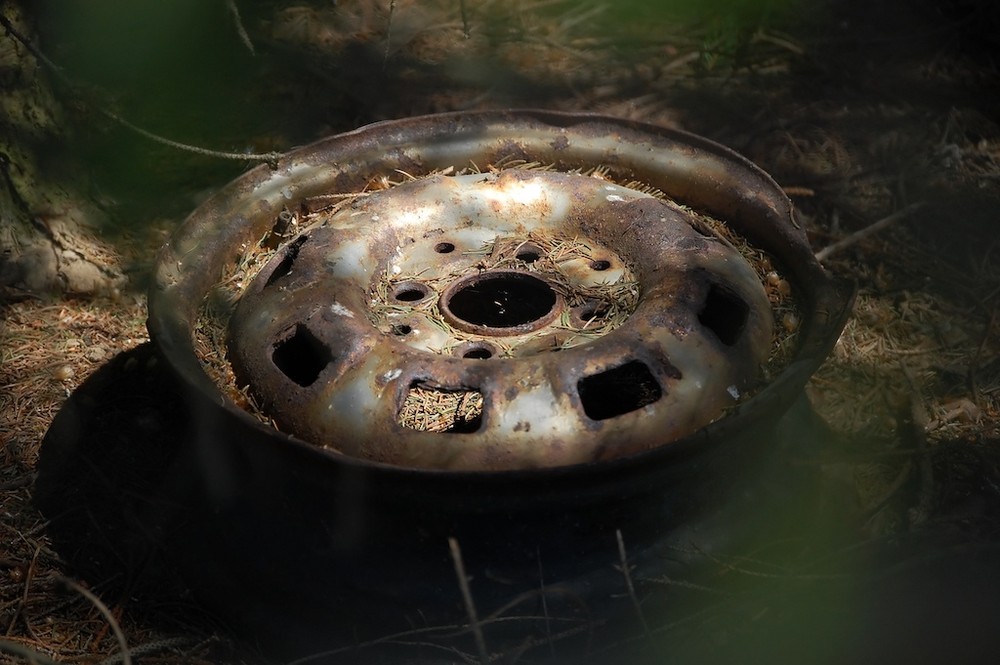 das einzige Mal, das Müll im Wald romantisch war