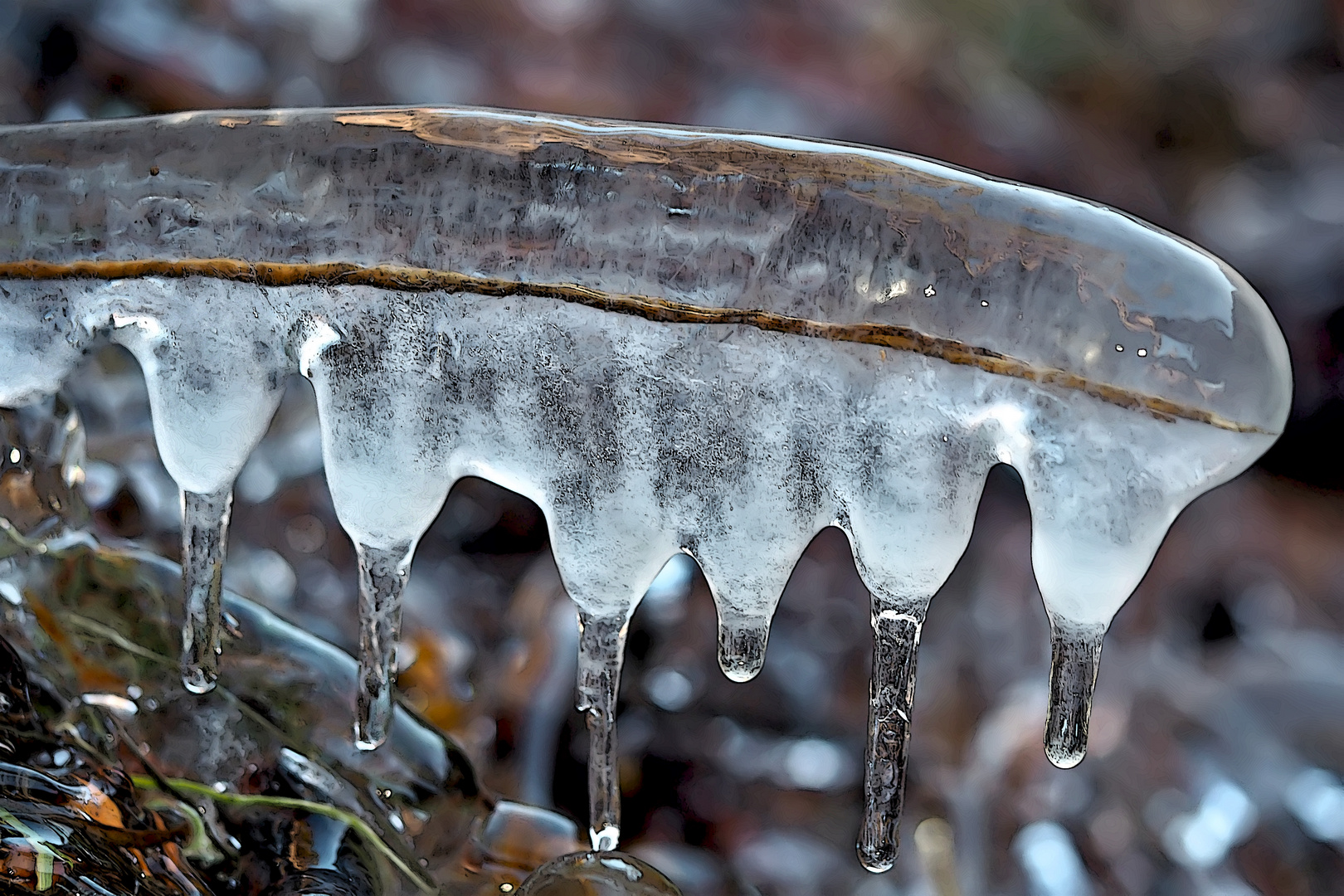 Das Eis tropft: Der Frühling kommt gewiss... - La glace se met à fondre.