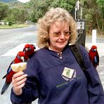 Das Eis war für die Vögel. (Wilsons Prom. NP)