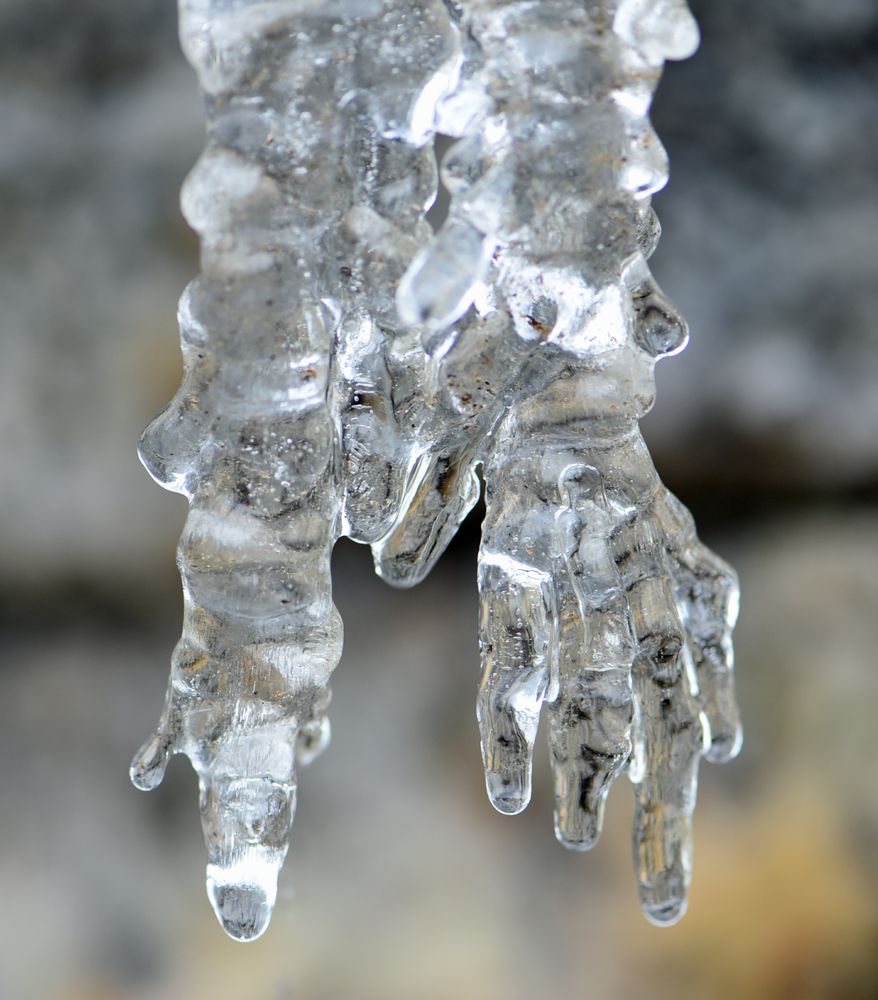 Das eiskalte Händchen Foto &amp; Bild | jahreszeiten, winter, gefroren ...