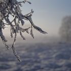 Das eiskalte Händchen