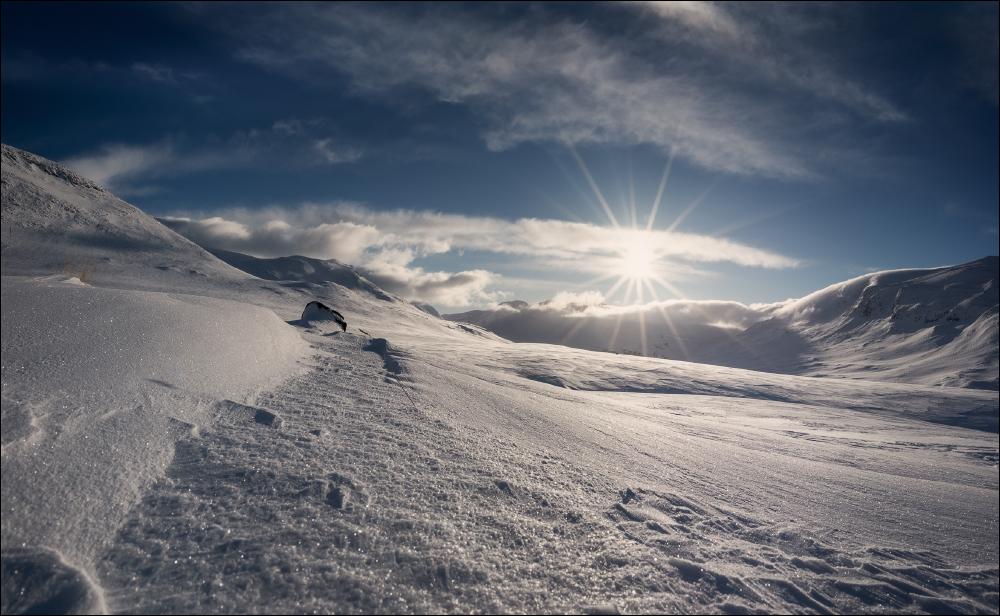 das eiskalte Polar