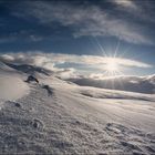 das eiskalte Polar