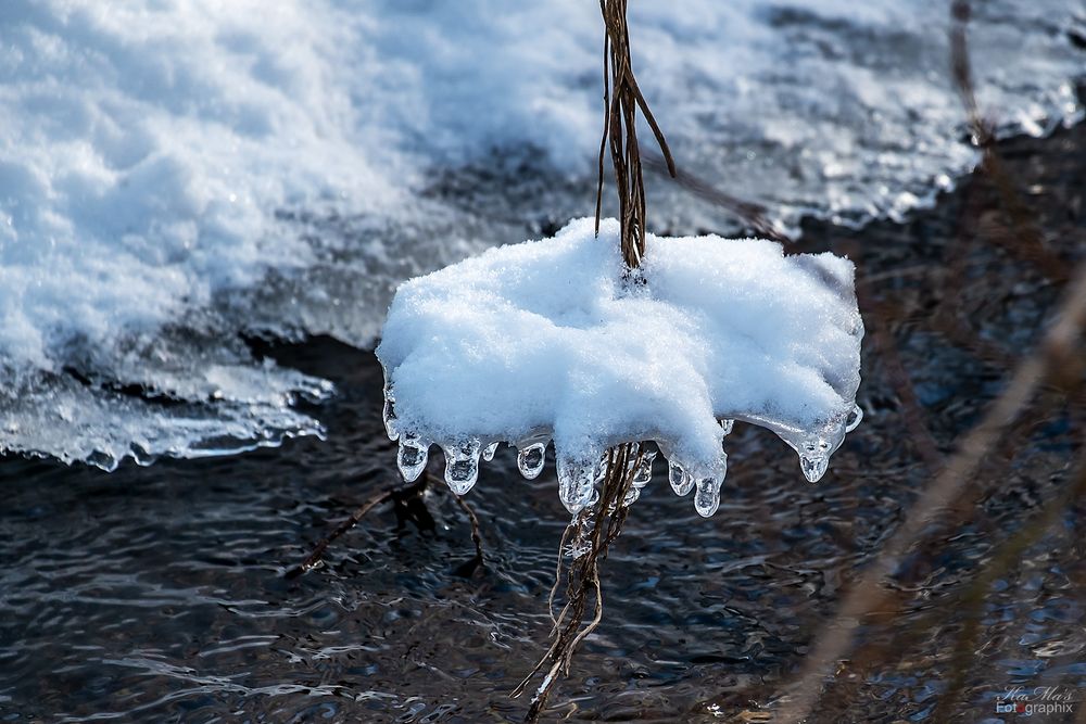 Das Eiskarussell