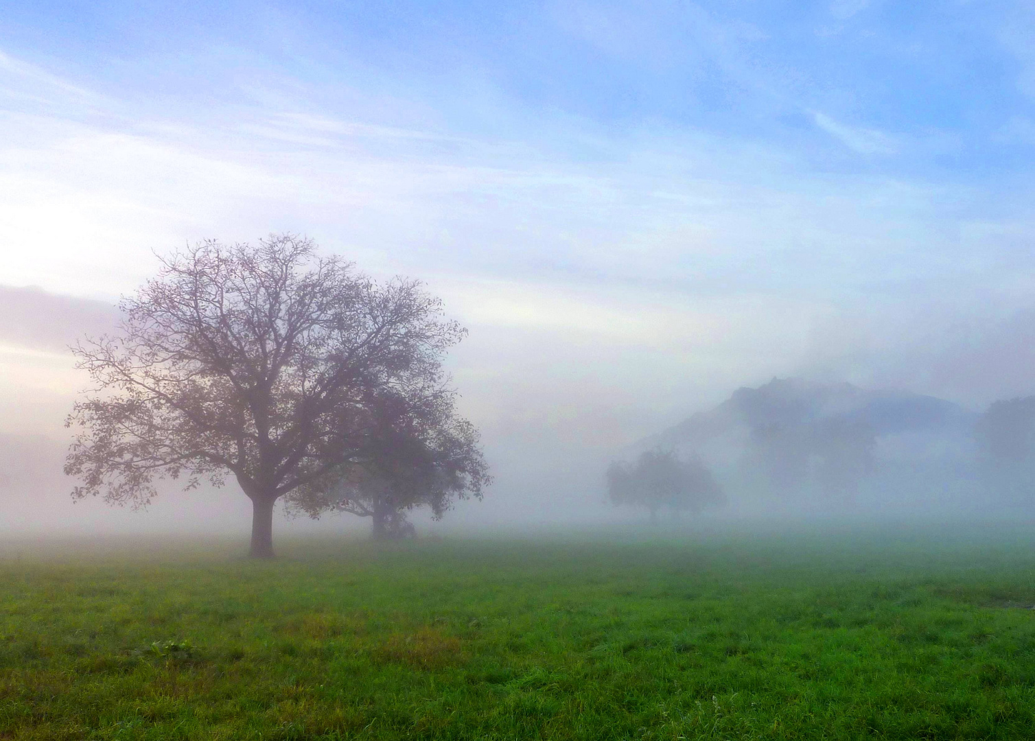 Das Emmer Kirchfeld im Nebel ...