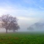 Das Emmer Kirchfeld im Nebel ...