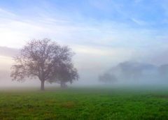 Das Emmer Kirchfeld im Nebel ...