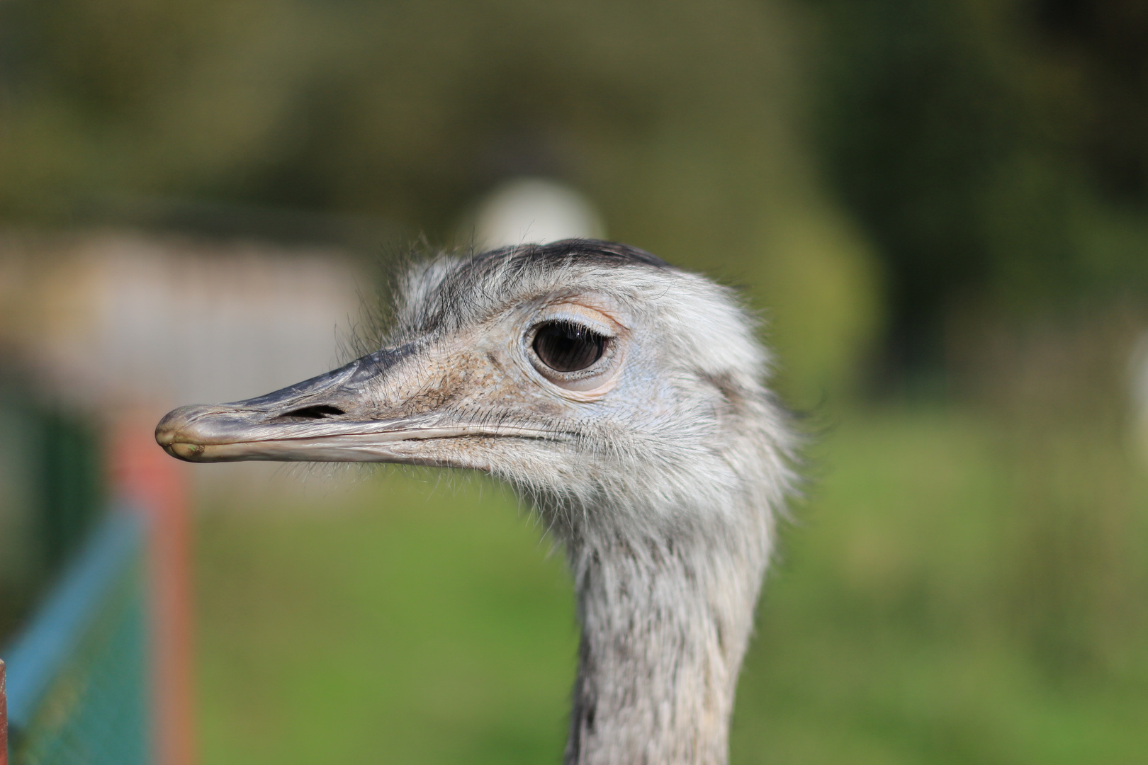 Das EMU