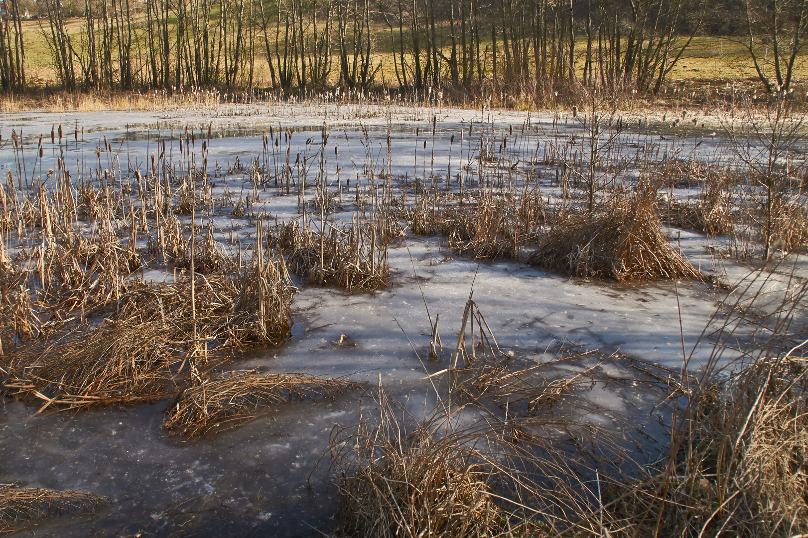 Das Ende der Eiszeit 2