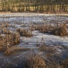 Das Ende der Eiszeit 2