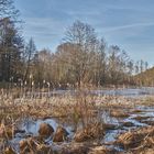 Das Ende der Eiszeit 3