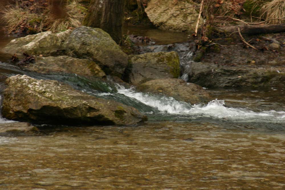 Das Ende der Fischtreppe