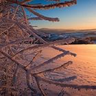 Das Ende der Frostnacht