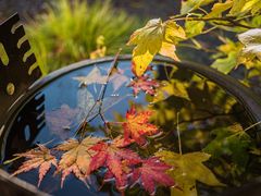 Das Ende der Grillsaison