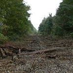 Das Ende der Rheinischen Eisenbahn