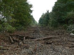 Das Ende der Rheinischen Eisenbahn