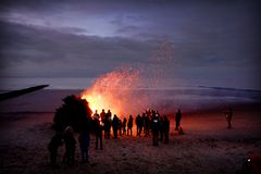 Das Ende der Weihnachtsbäume.