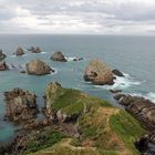 Das Ende der Welt (Nugget Point, Neuseeland)