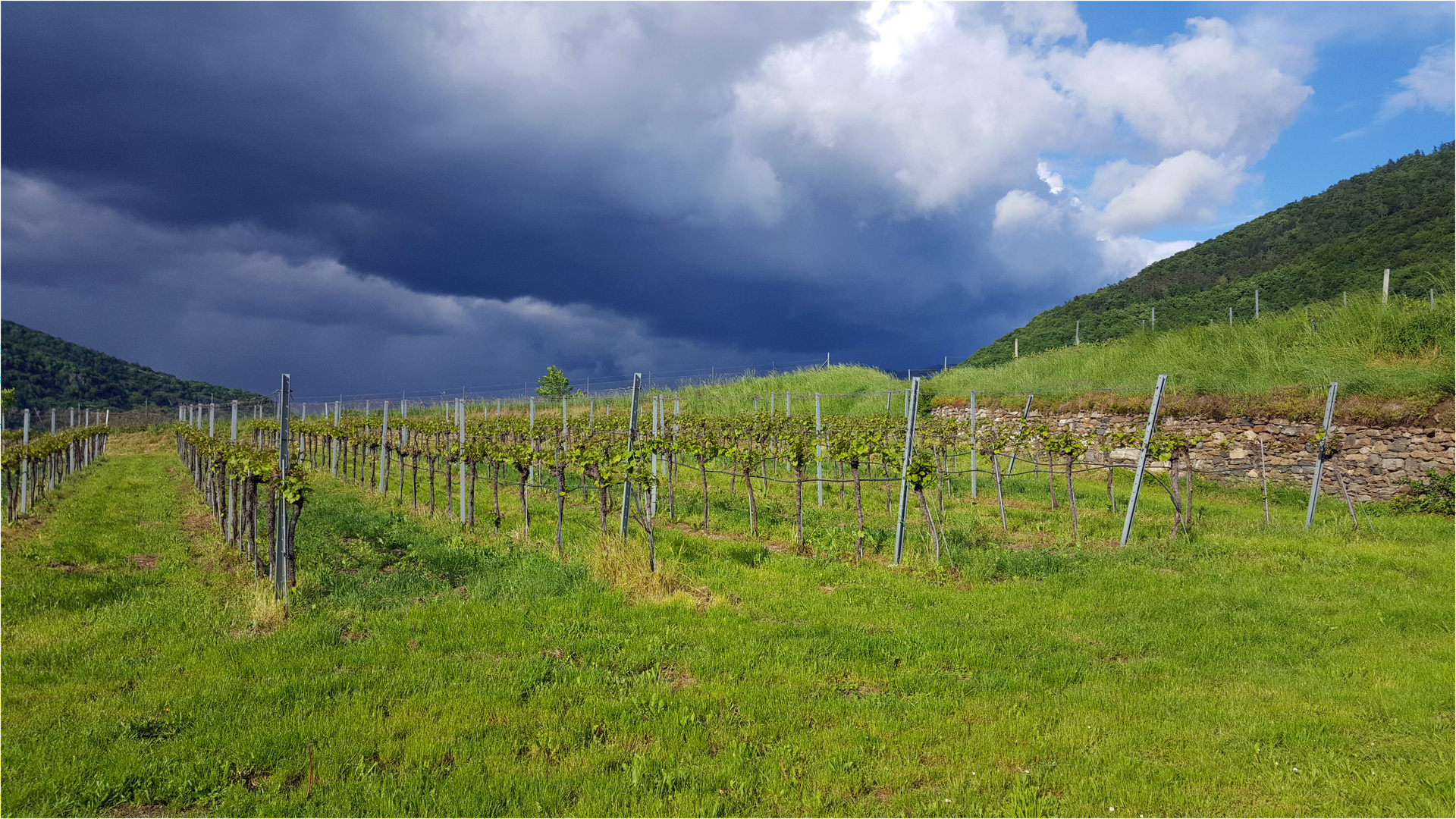 Das Ende der Wolke....