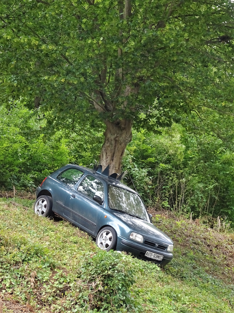 Das Ende des Autotraums