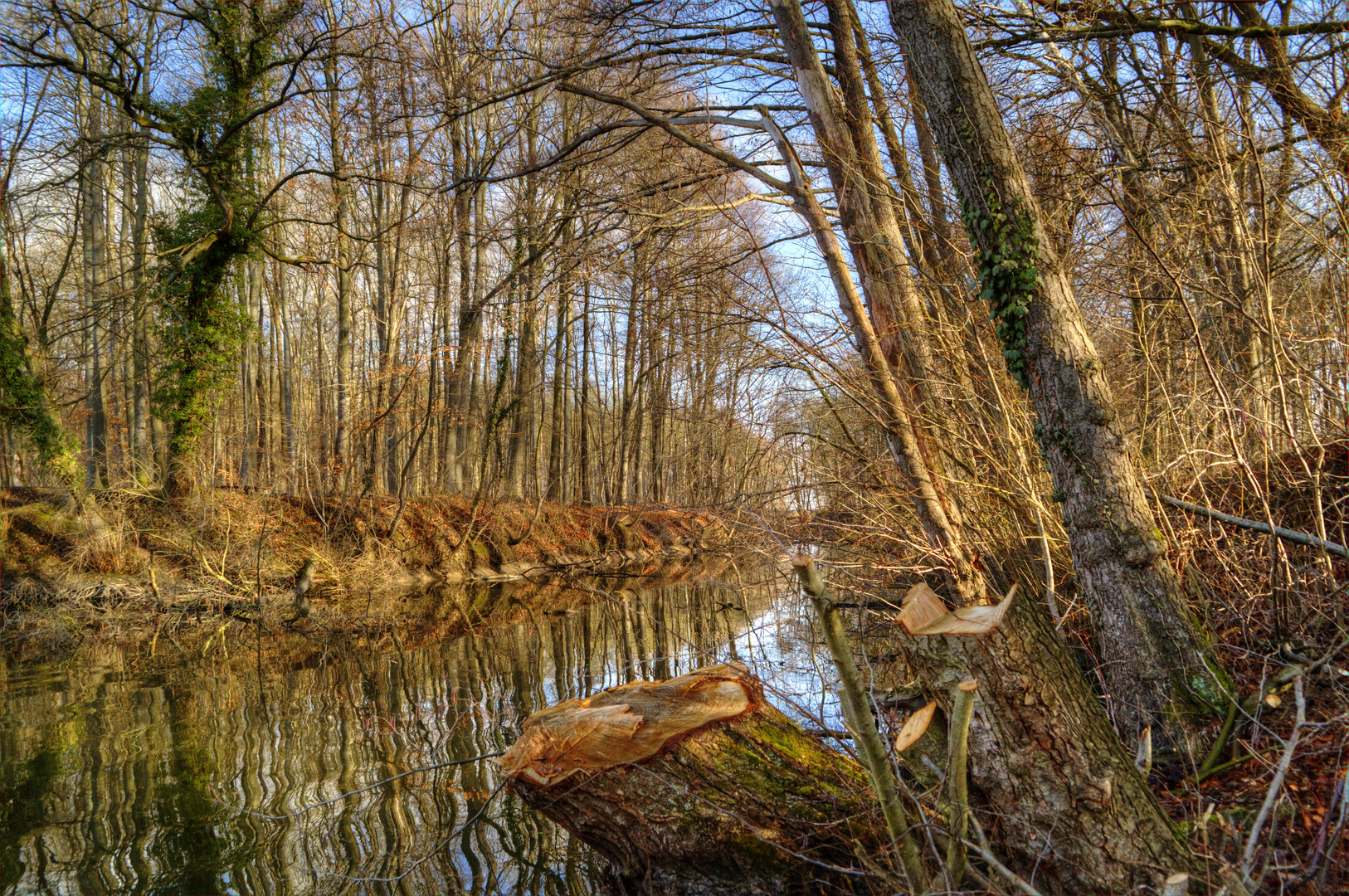 Das Ende des Baches