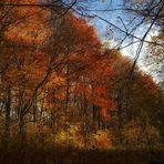 Das Ende des Herbstes naht