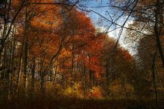 Das Ende des Herbstes naht