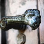 das Ende des Lebens ... Südfriedhof Düsseldorf