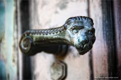 das Ende des Lebens ... Südfriedhof Düsseldorf