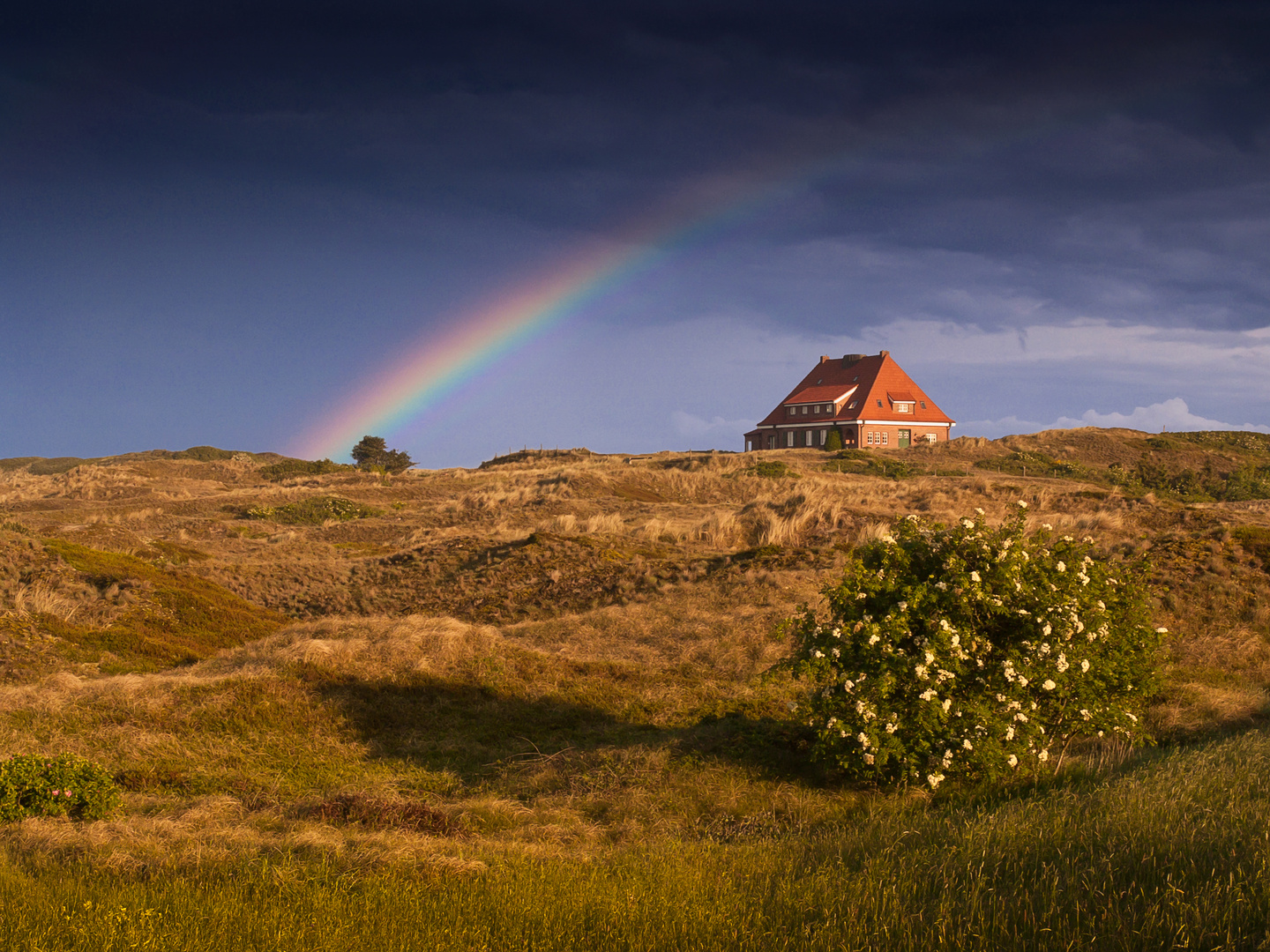 Das Ende des Regenbogen