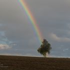 Das Ende des Regenbogens