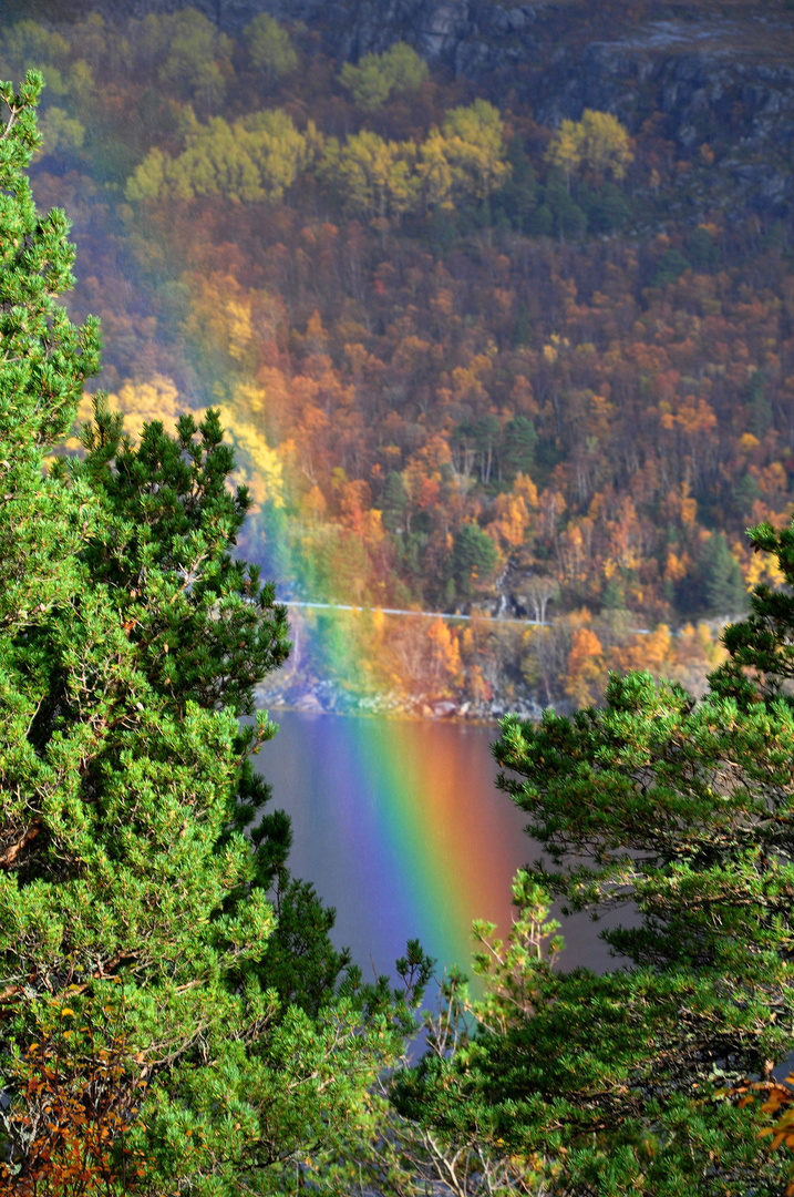 Das Ende des Regenbogens ...