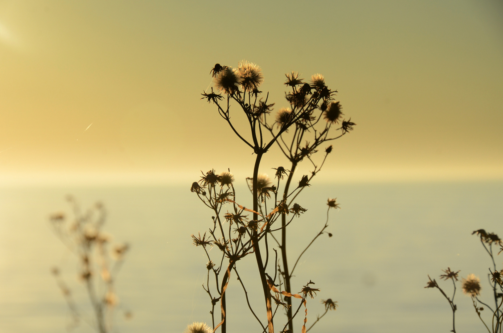 Das Ende des Sommers