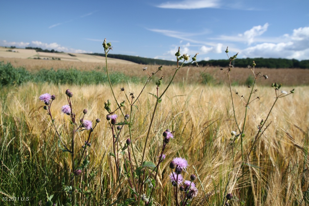 Das Ende des Sommers