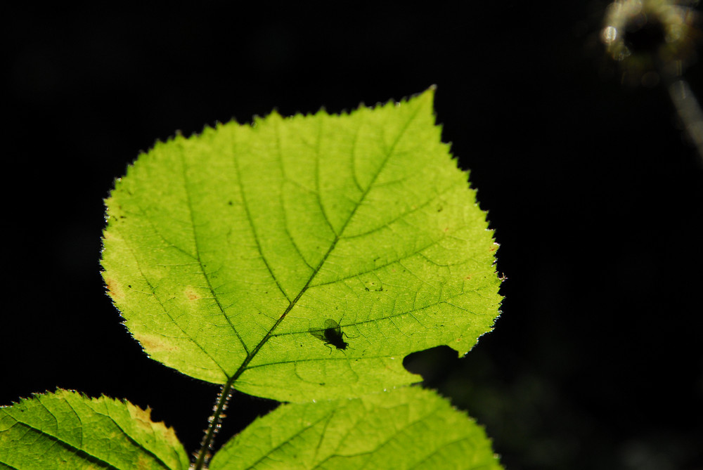 Das Ende des Sommers