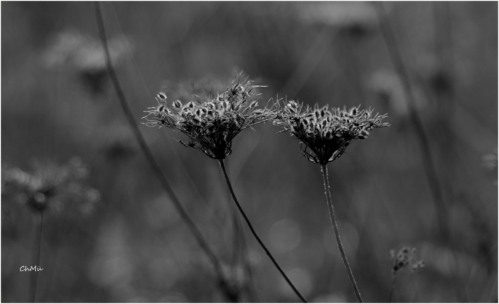 das ende des sommers