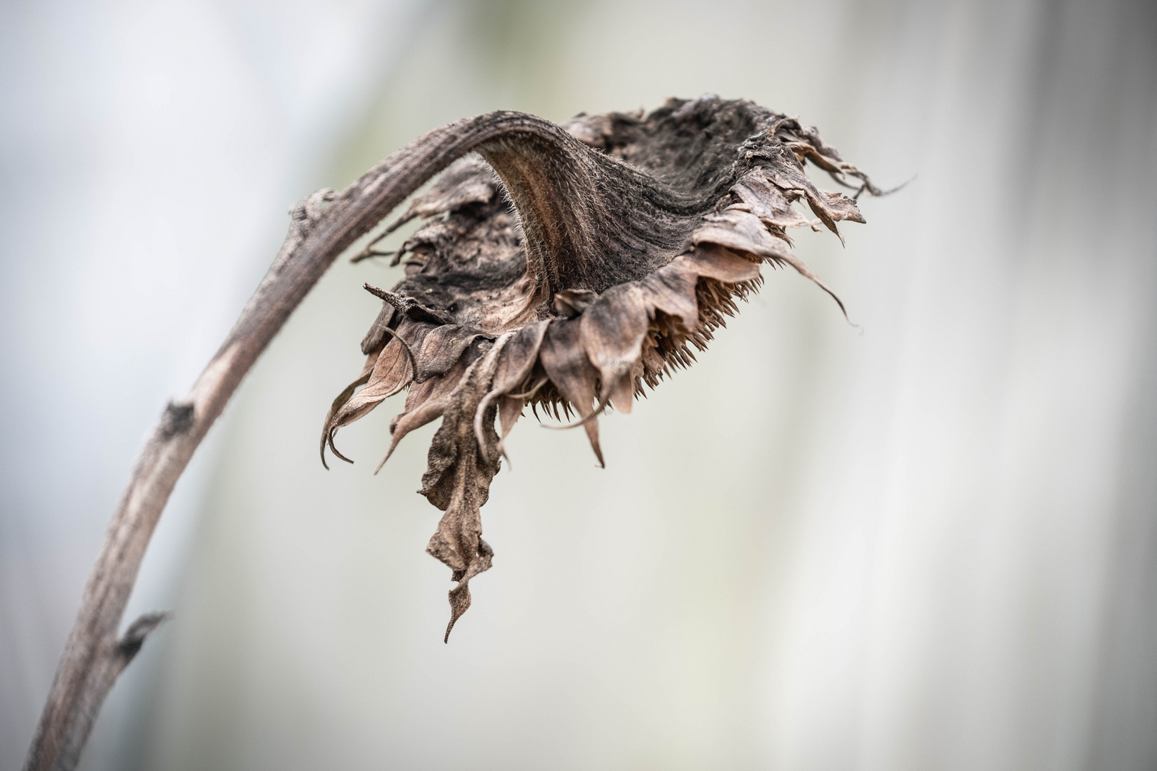 Das Ende des Sommers