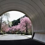 Das Ende des Tunnels