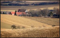 Das Ende des Winters...