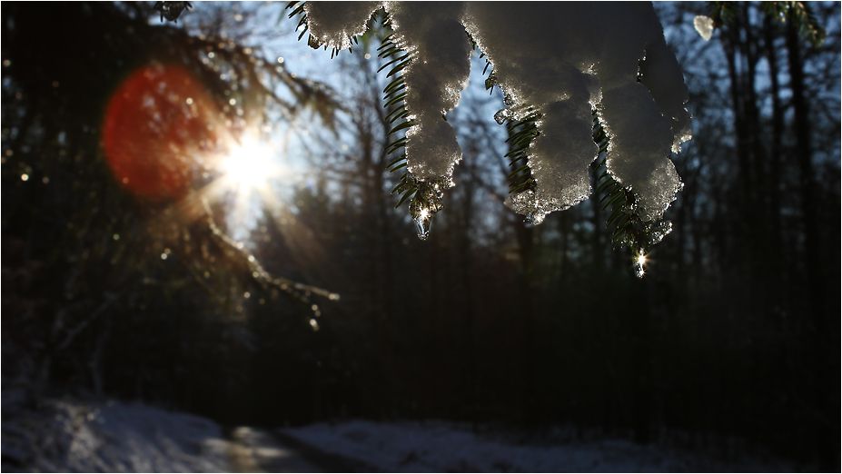 Das Ende des Winters.....vielleicht...