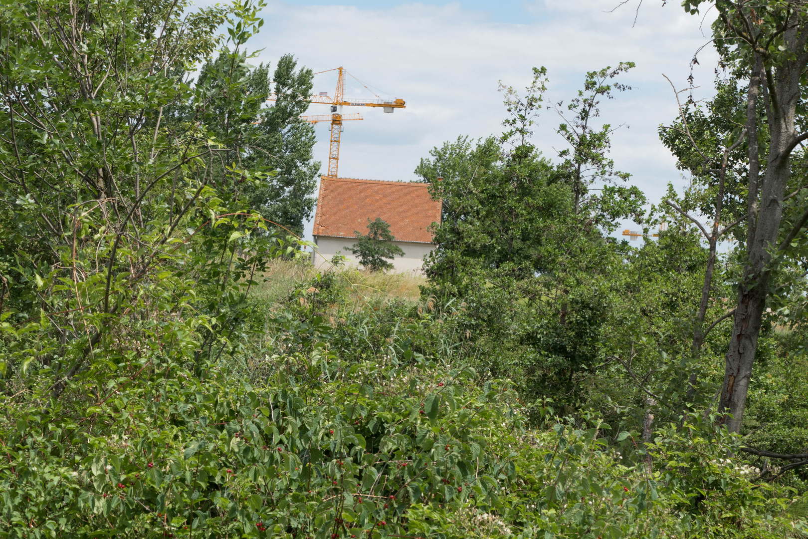 Das Ende einer Idylle!