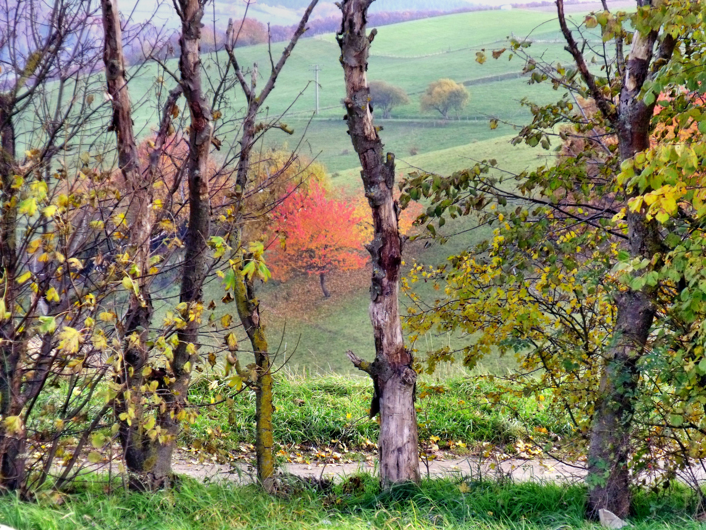 Das Ende einer schönen Herbstwanderung