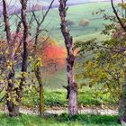 Das Ende einer schönen Herbstwanderung