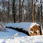 Das Ende eines langen Lebens