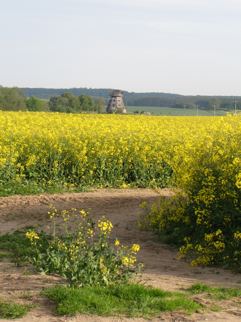 Das Ende eines Weges