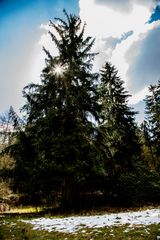 Das Ende vom Schnee im Harz