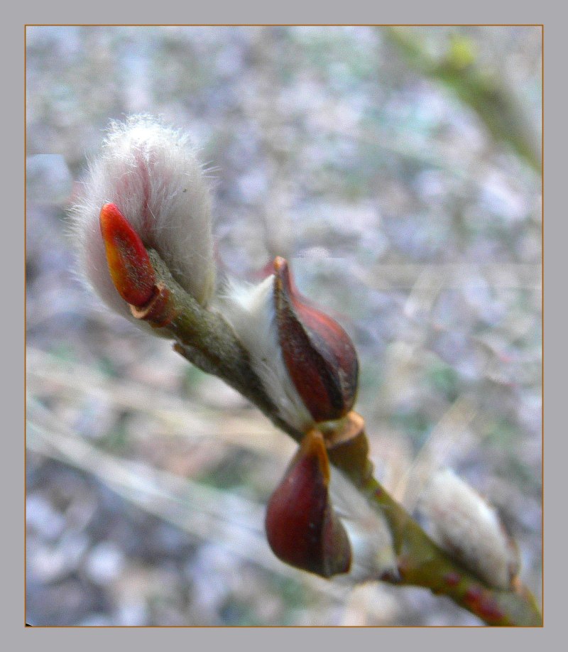 Das Ende vom Winter?