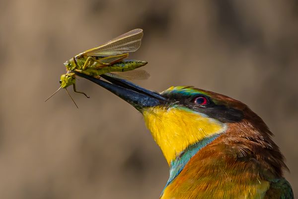 ""Das Ende von Flip""