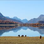 das Engadin geniessen...